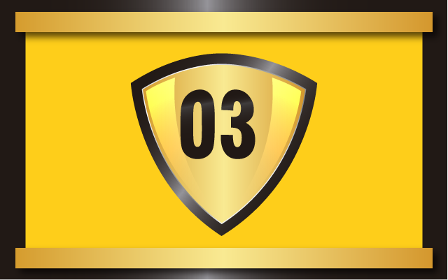 project 3
